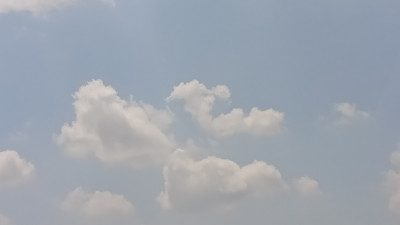 IMG20260425110509.jpg