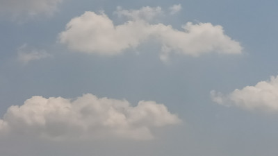 IMG20260425110522.jpg