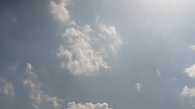 IMG20260425110229.jpg