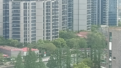 IMG20260425110539.jpg